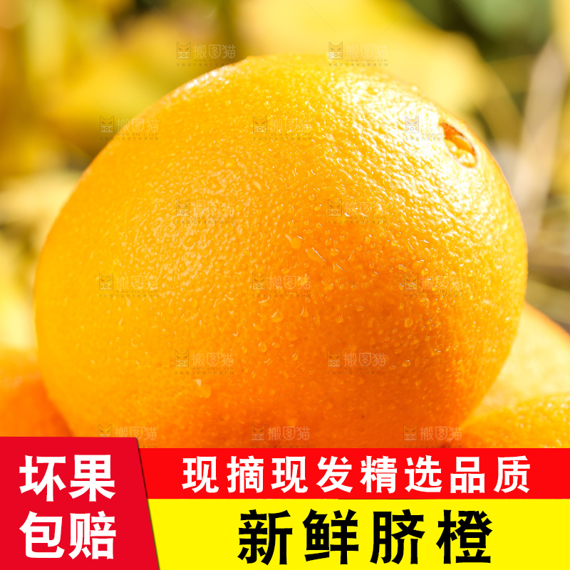 叶子上的新鲜脐橙