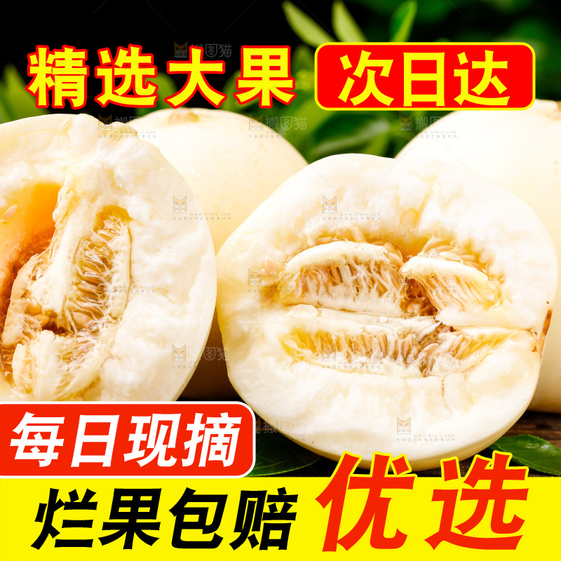 木底上的阎良甜瓜