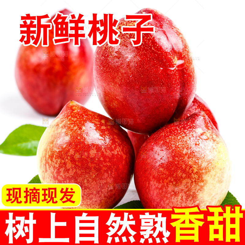 新鲜油桃放在白底上