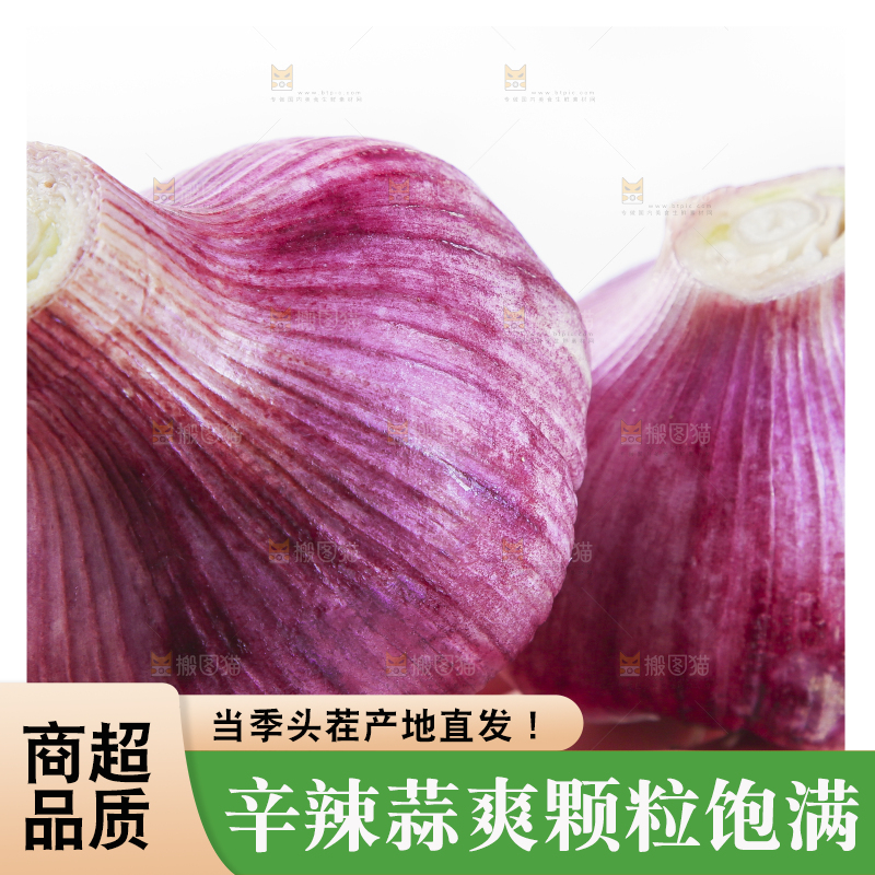 手里拿着紫皮蒜