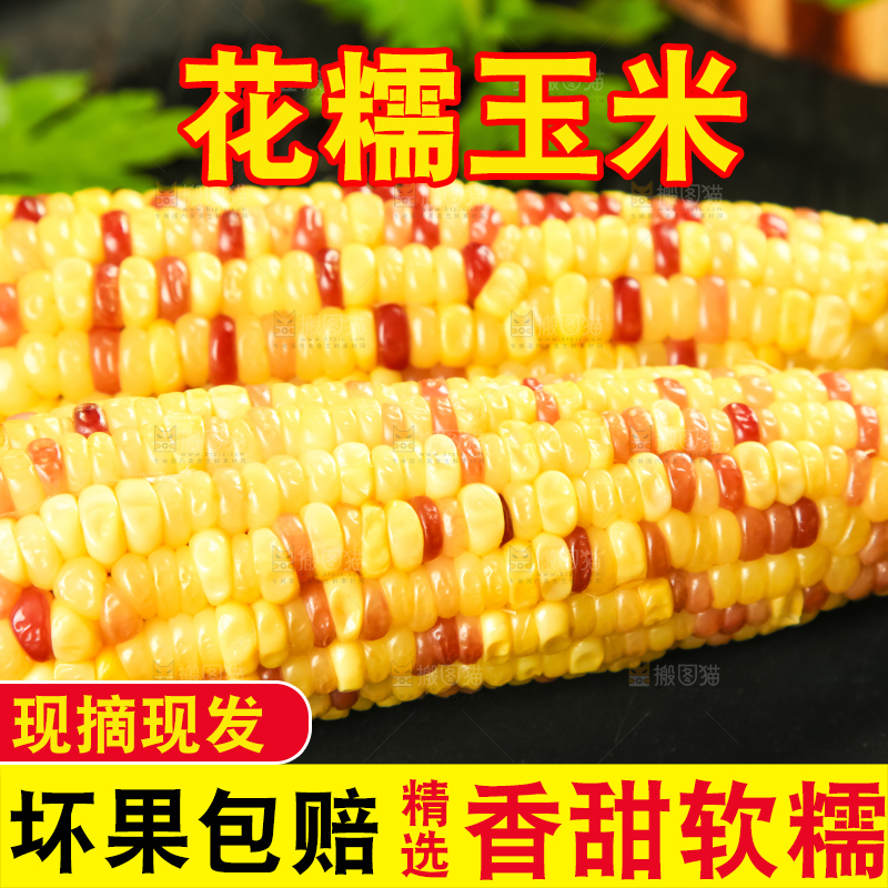 黑石板上放着糯玉米