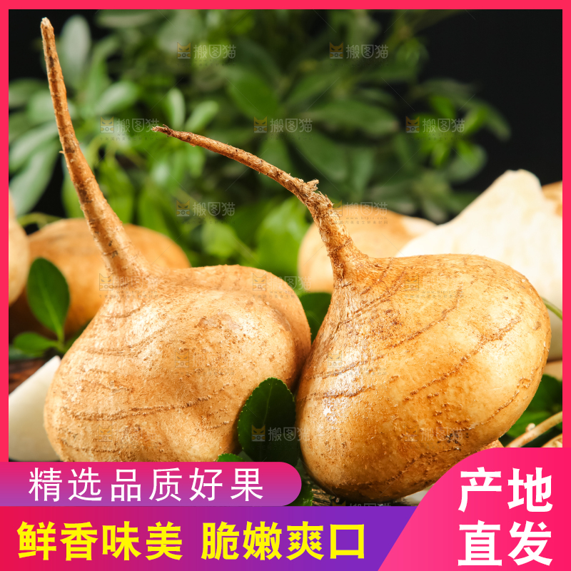 黑石板上的白凉薯
