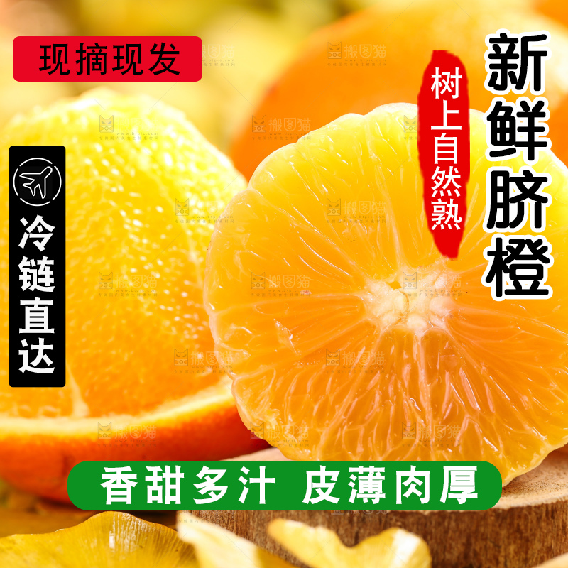 叶子上的新鲜脐橙