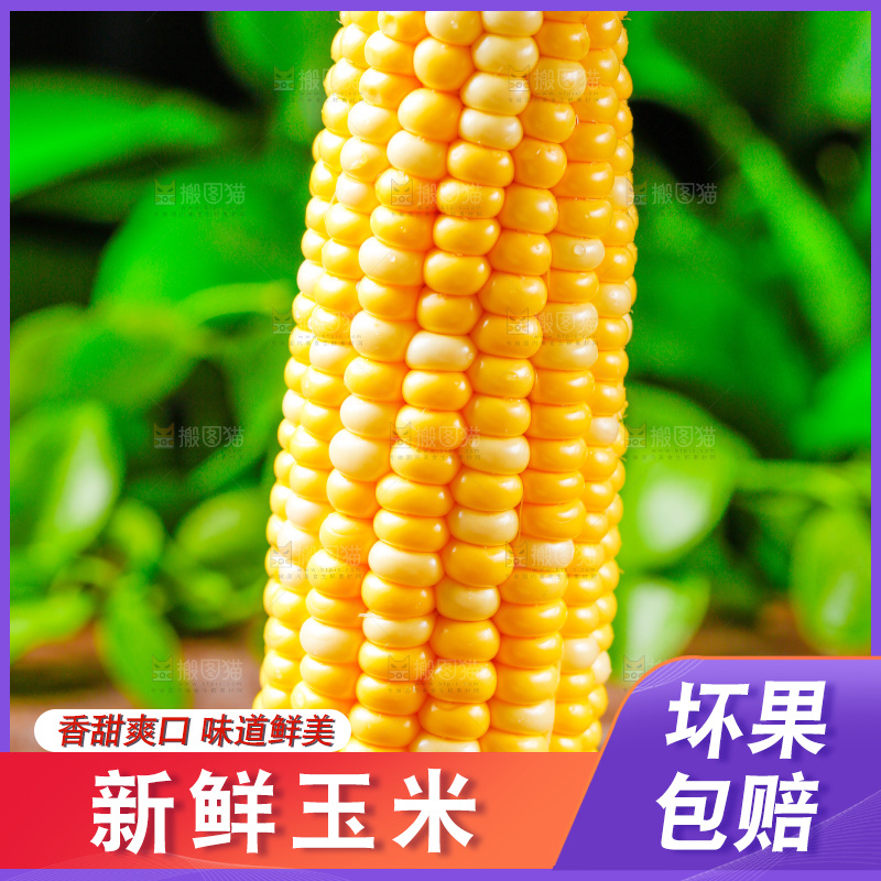 木底上的新鲜玉米
