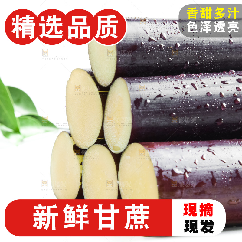 白底上放着甘蔗