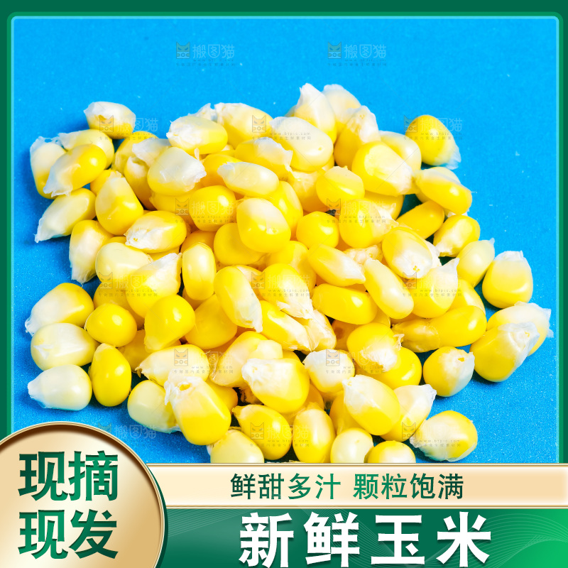 蓝底上放着云南水果甜玉米