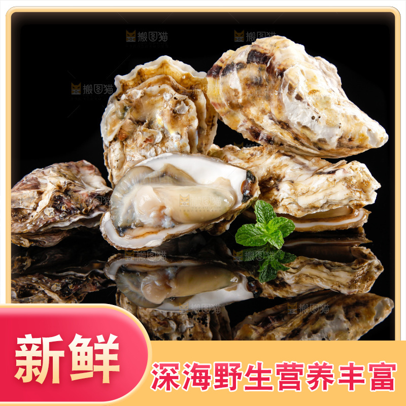 黑底上放着海蛎子