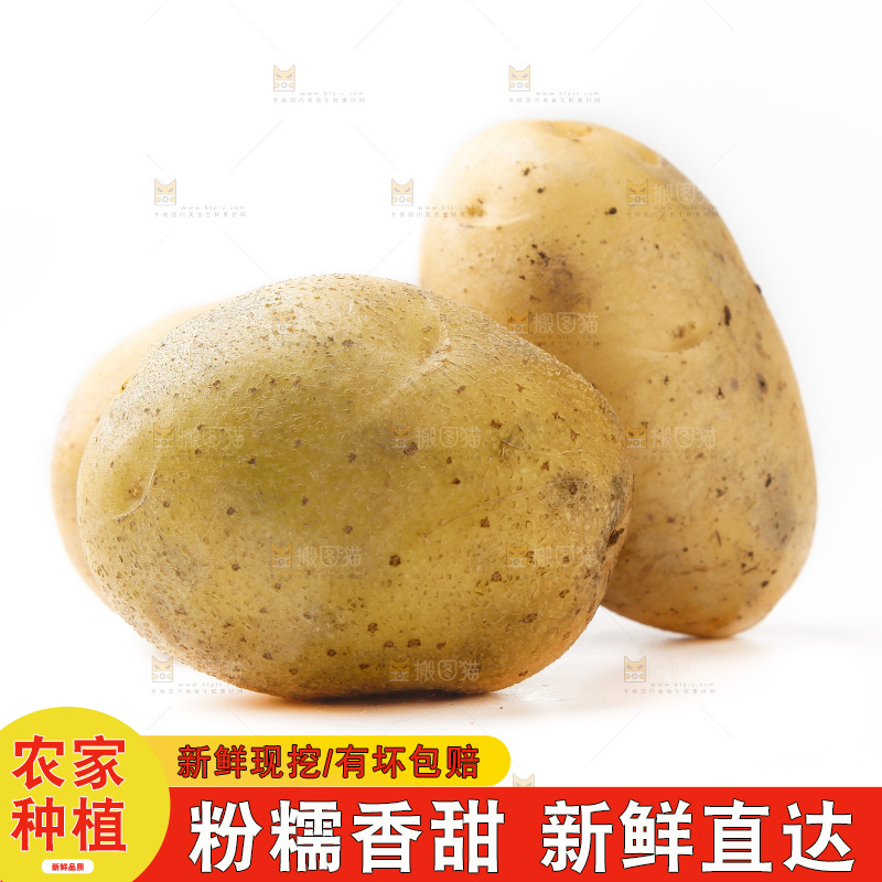 白底上放着黄心土豆
