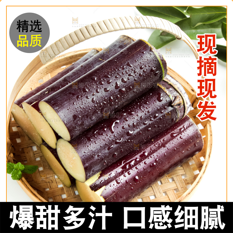 白底上放着甘蔗