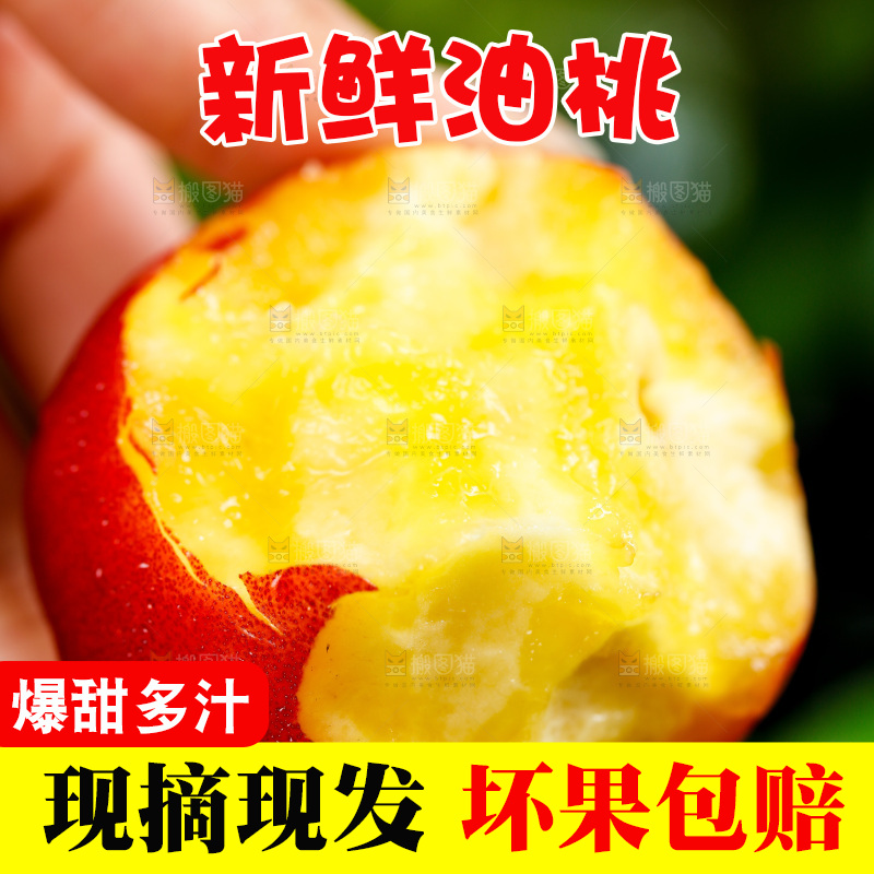 手拿黄心油桃