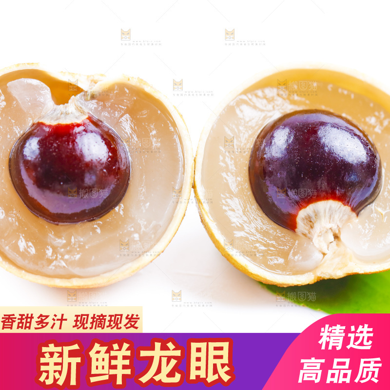 新鲜龙眼放在白底上