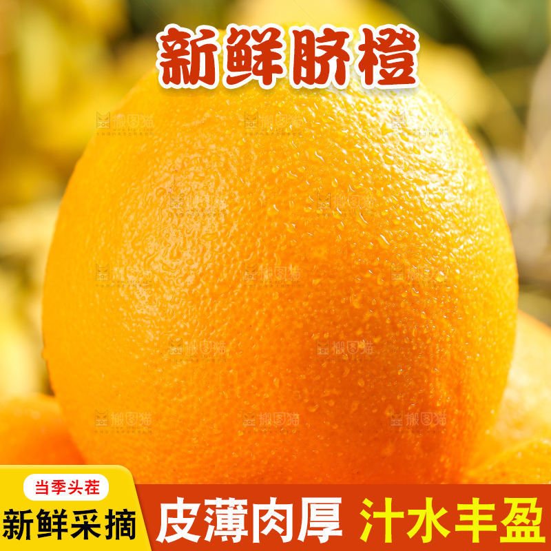 叶子上的新鲜脐橙