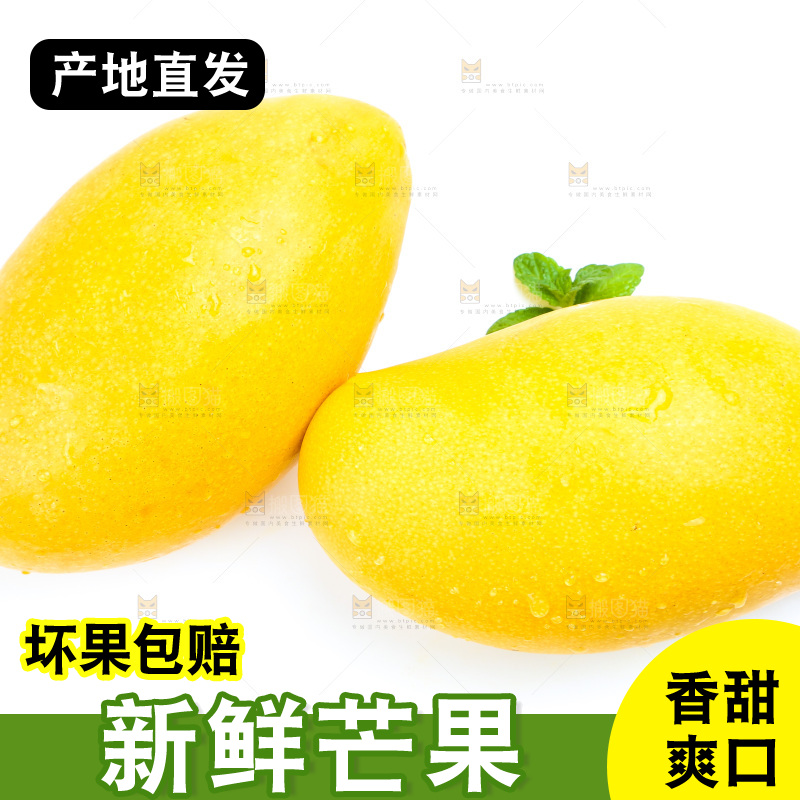 新鲜台芒放在白底上
