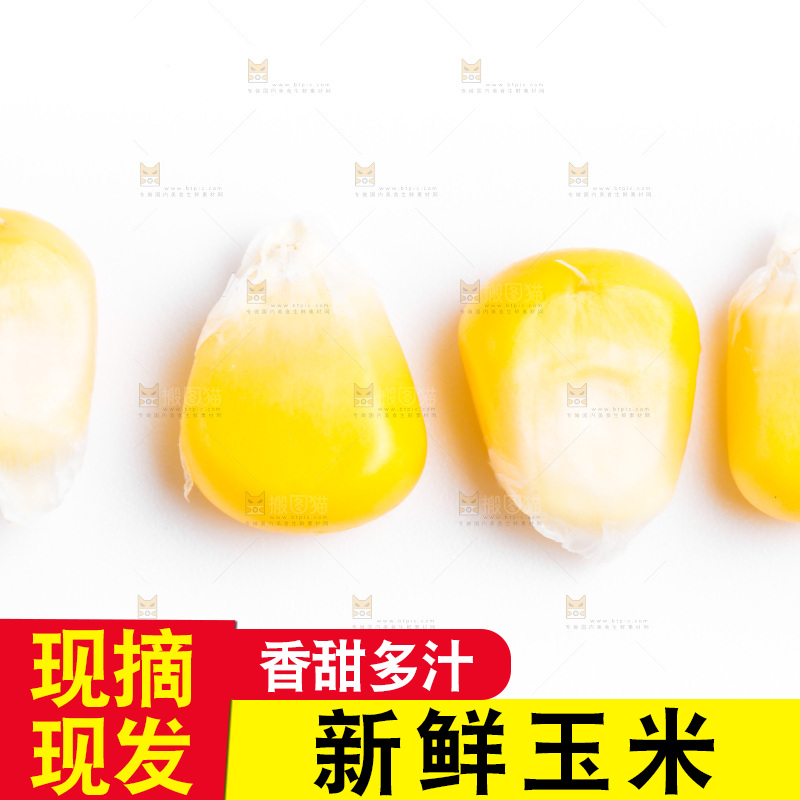 白底上的甜玉米