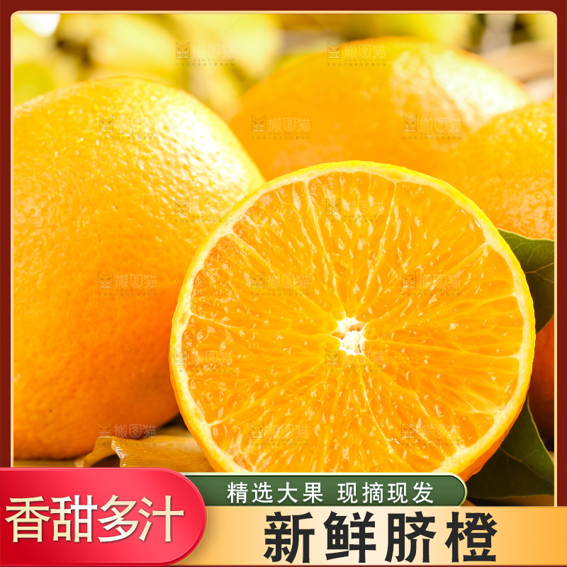 叶子上的新鲜脐橙