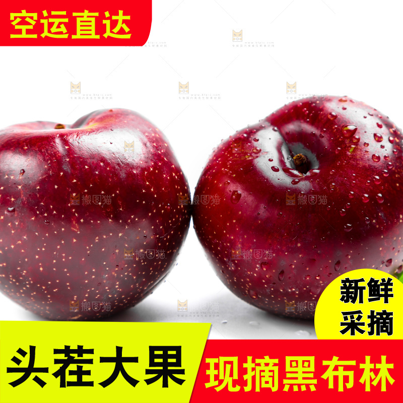 白底上的黑布林