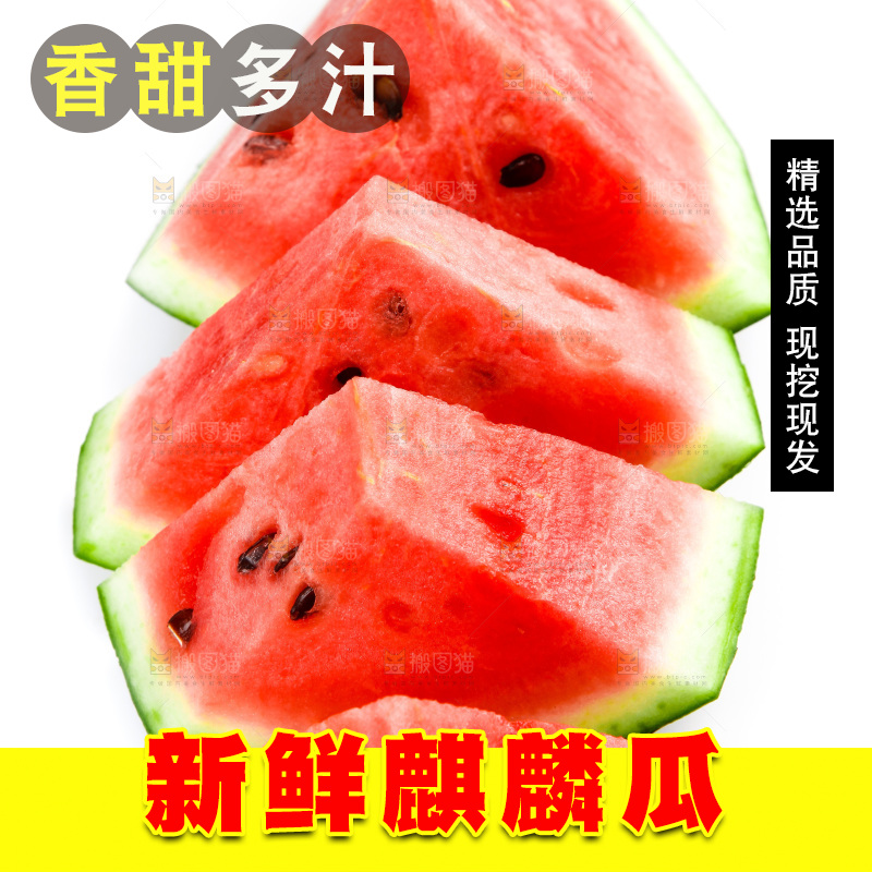 白底上放着8424麒麟瓜