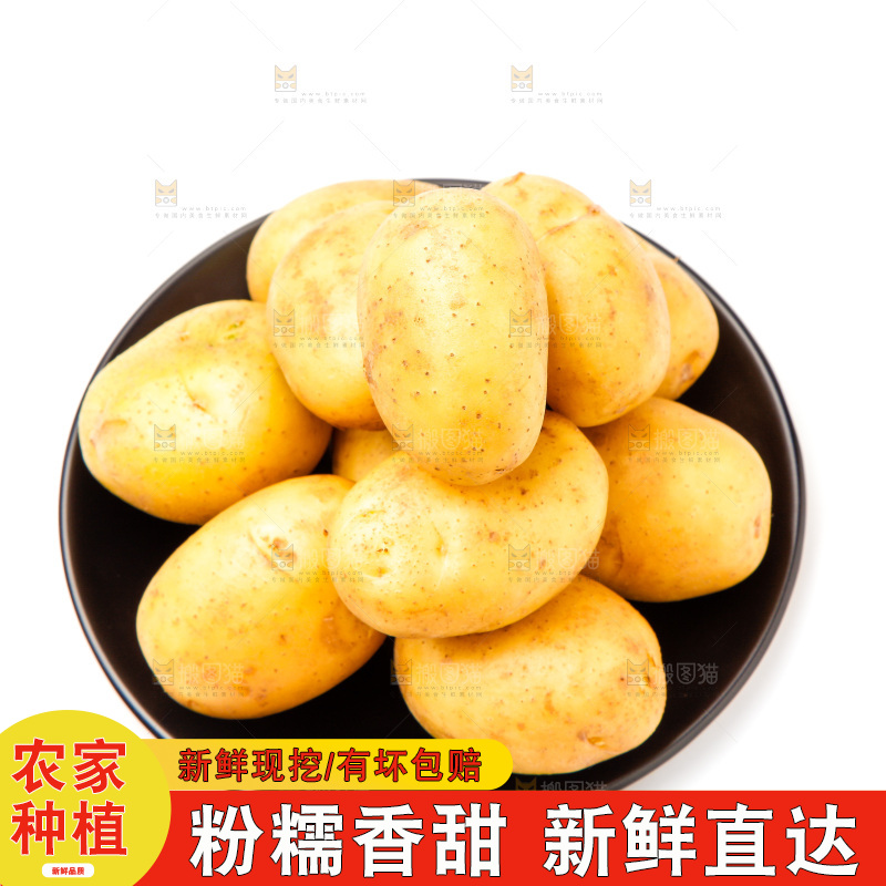 一盘新鲜土豆放在白底上