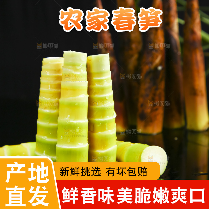 黑底上放着临安春笋