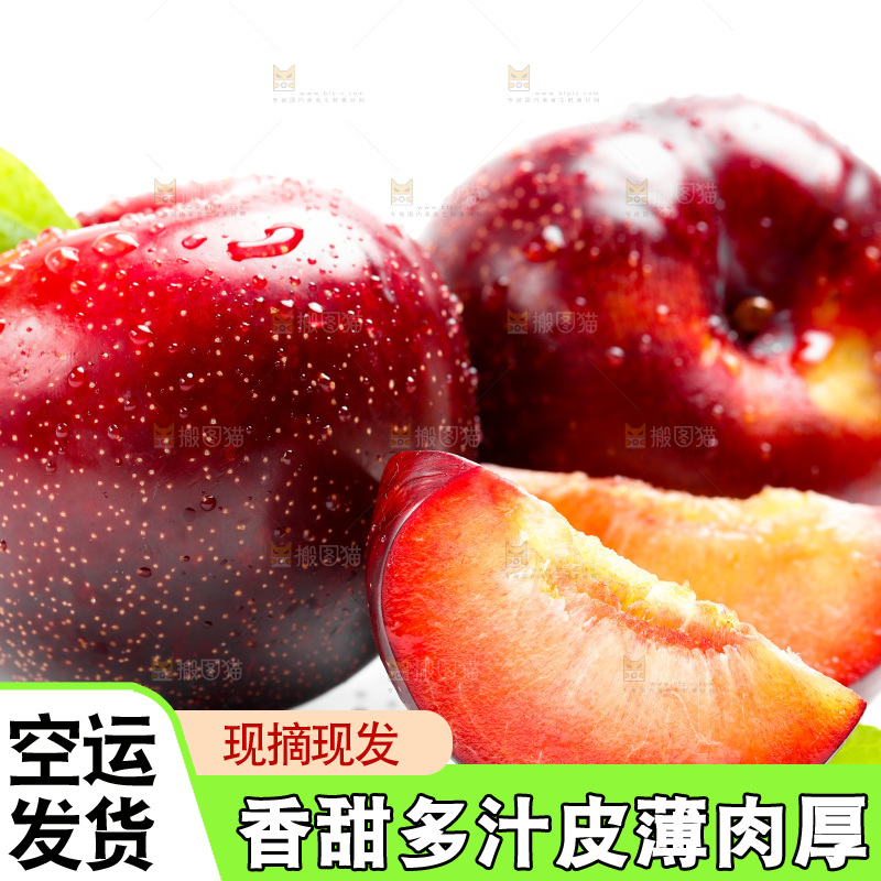 白底上的黑布林