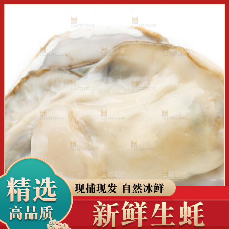 白底上的生蚝