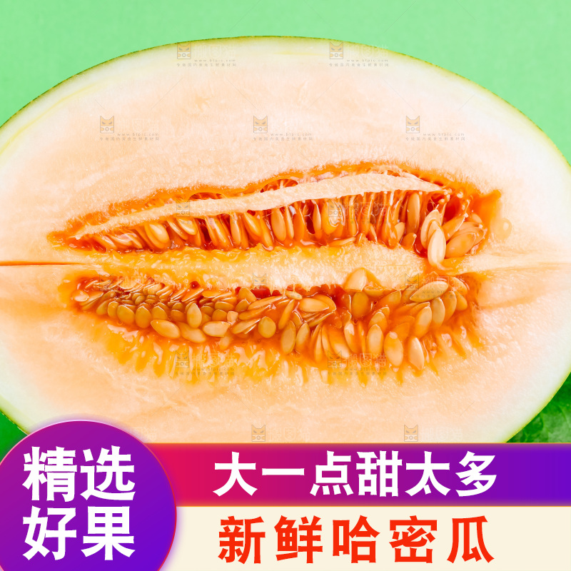 浅底上的哈密瓜