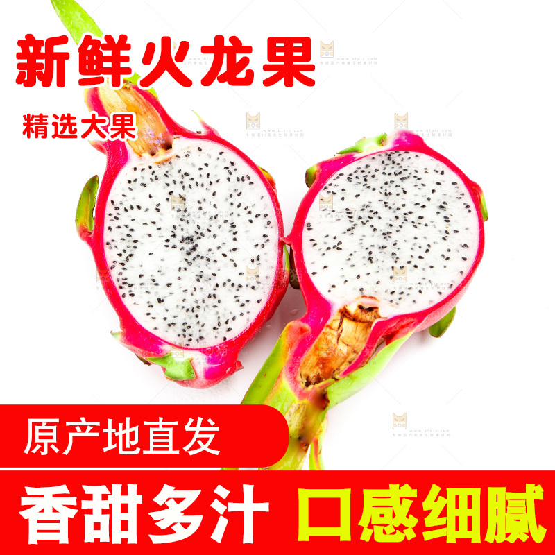 白心火龙果放在白底上