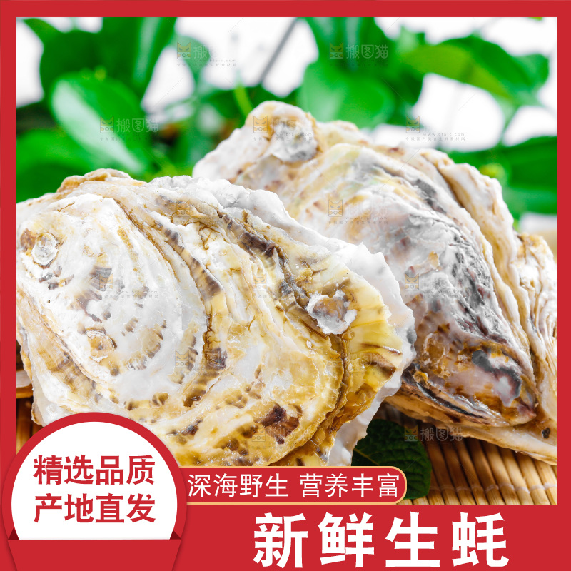 木底上放着海蛎子