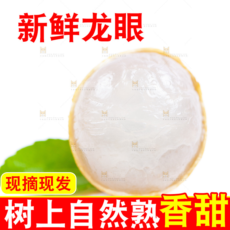 新鲜龙眼放在白底上