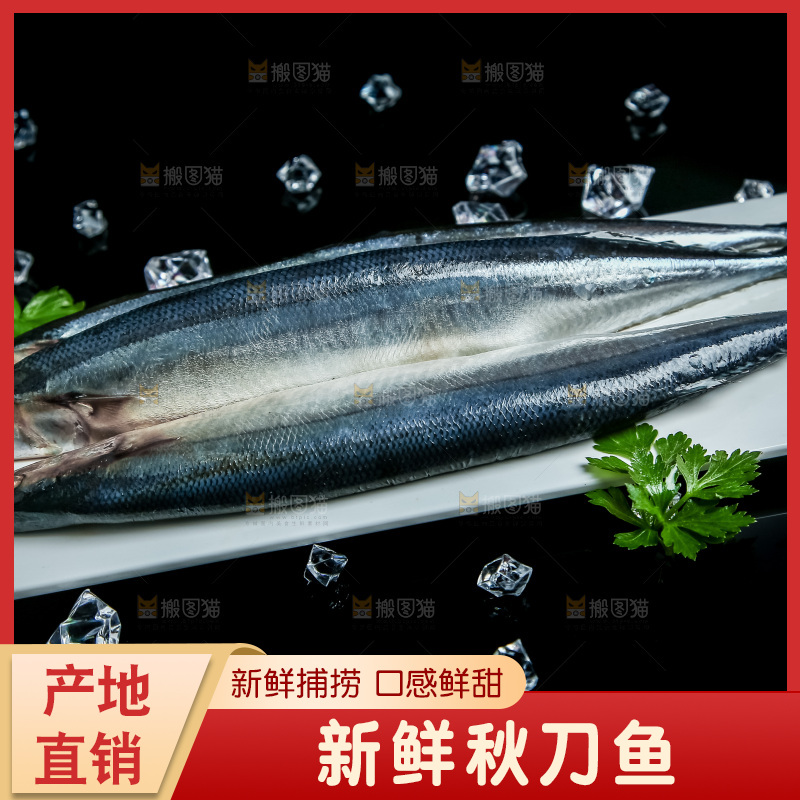 黑底上放着一盘秋刀鱼
