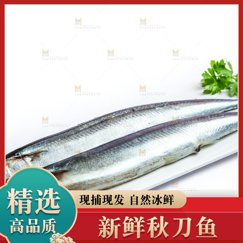 白底上放着一盘秋刀鱼