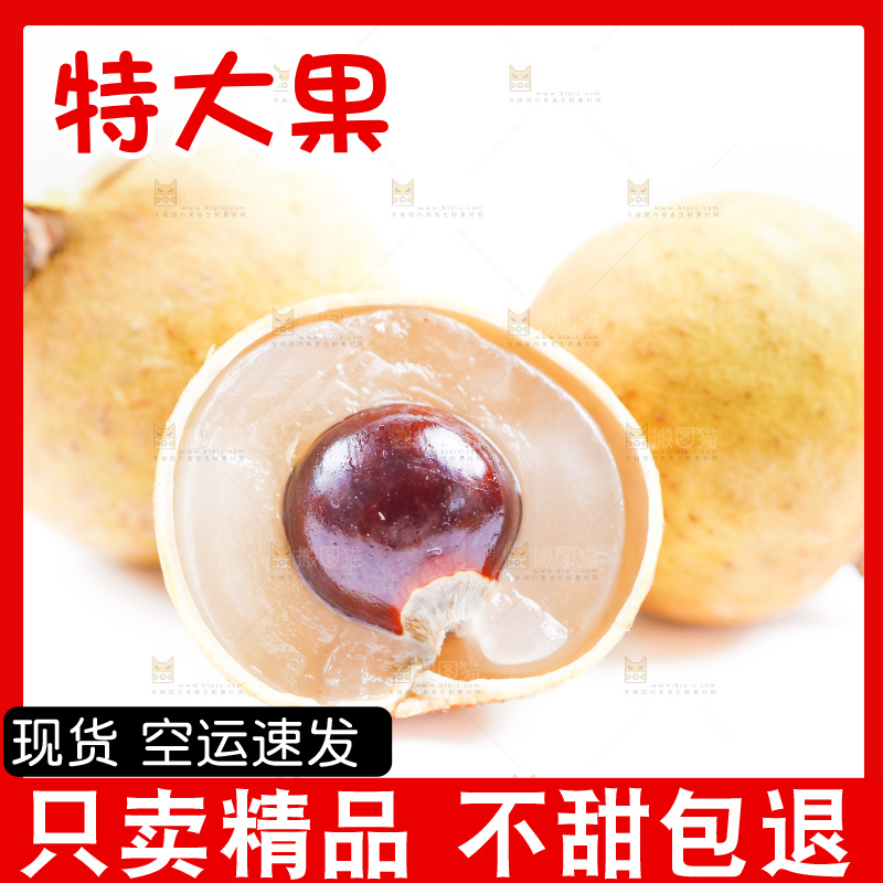白底上的龙眼