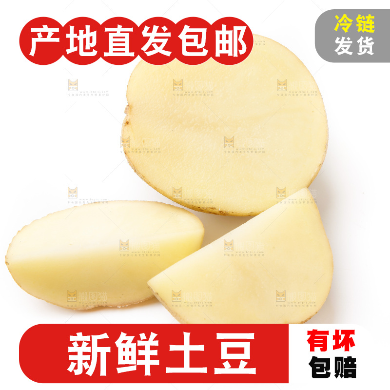 新鲜土豆放在白底上