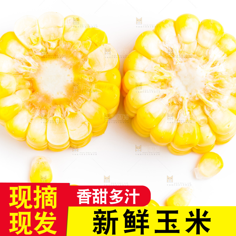 白底上的甜玉米