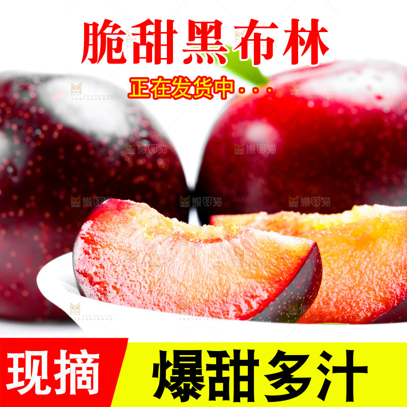 白底上的黑布林