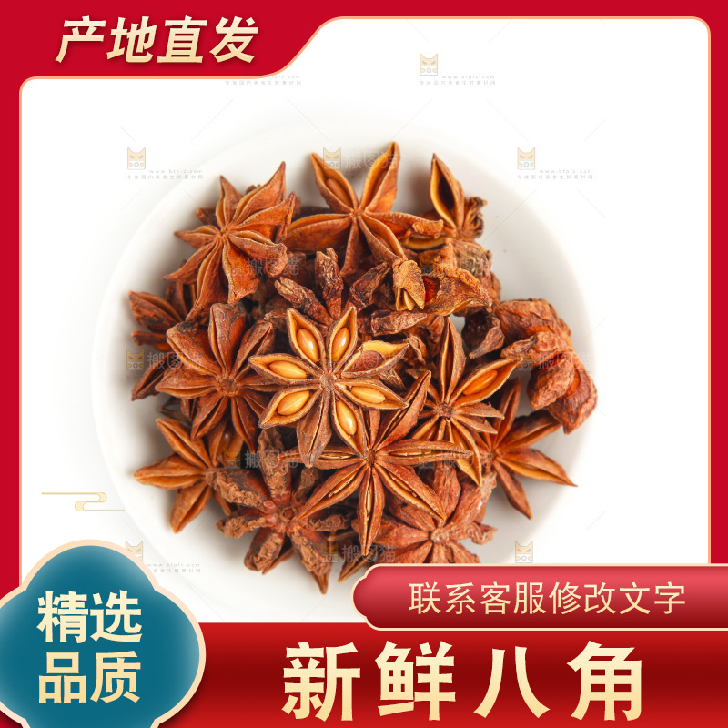 广西八角放在白底上