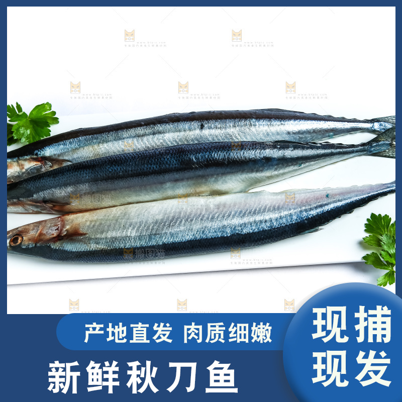 白底上放着一盘秋刀鱼