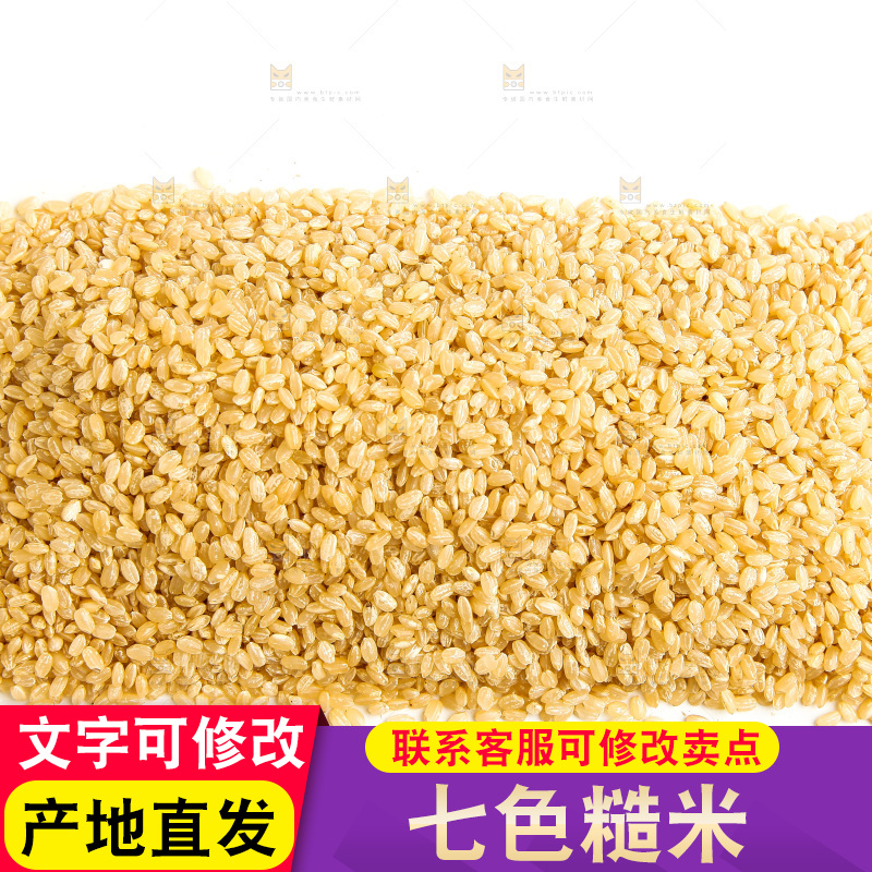 东北糙米放在白底上