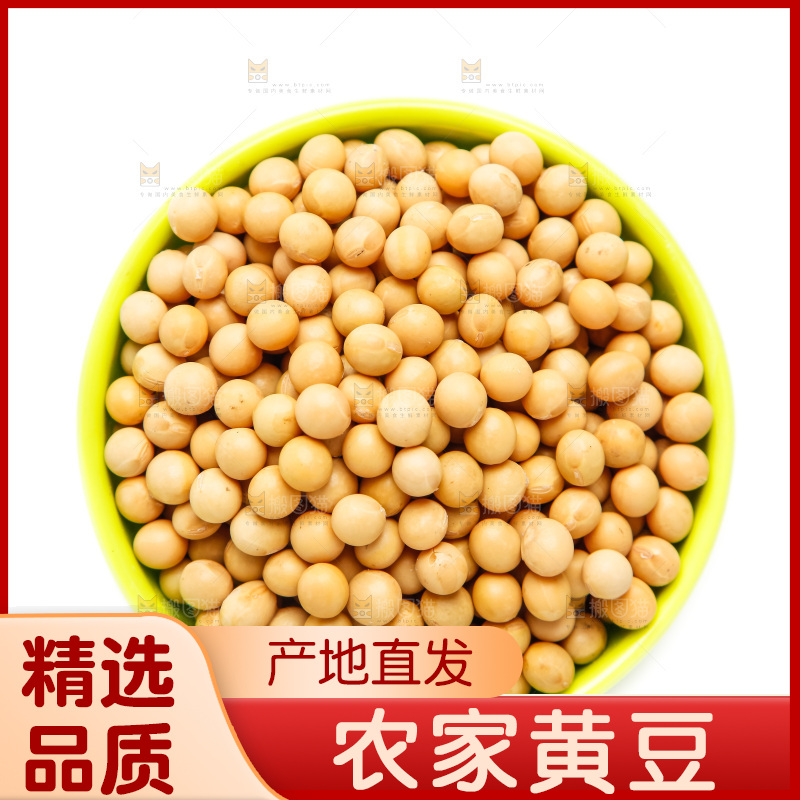 一碗黄豆放在白底上