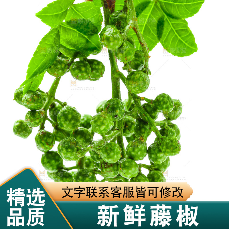 白底上的新鲜藤椒