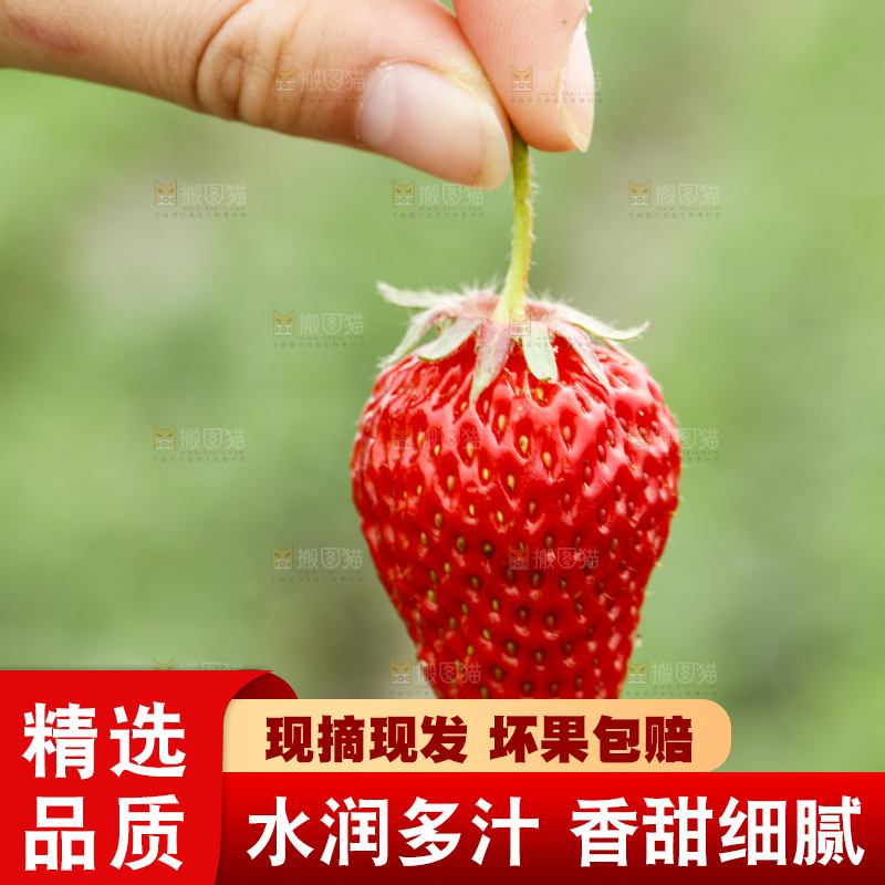 手拿草莓