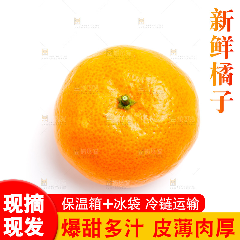 新鲜橘子放在白底上