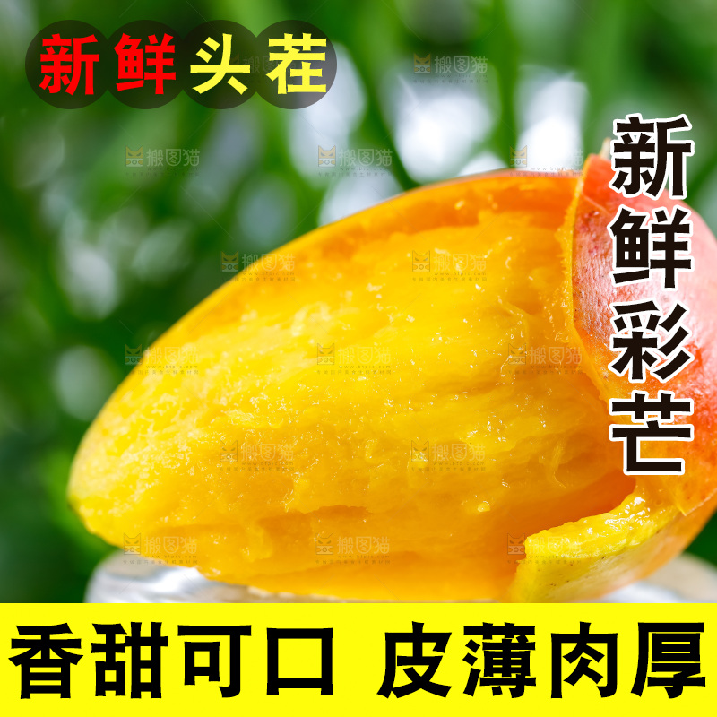 浅底上的彩芒