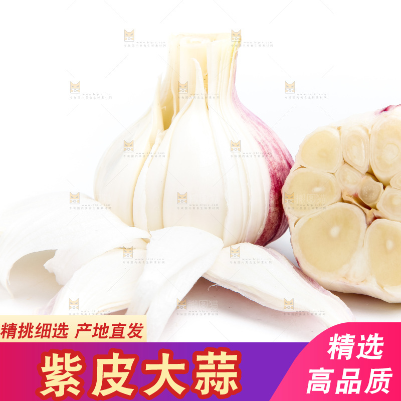 白底上的大蒜