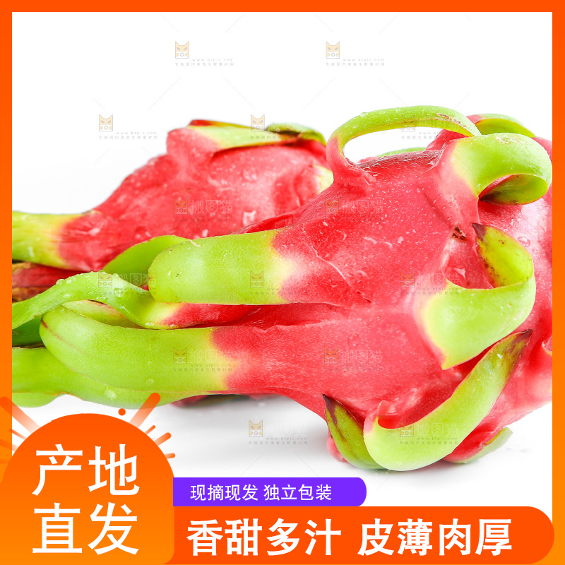 白底上的火龙果