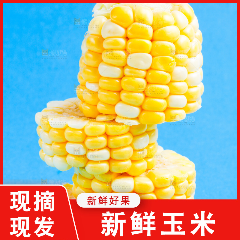 蓝底上放着云南水果甜玉米