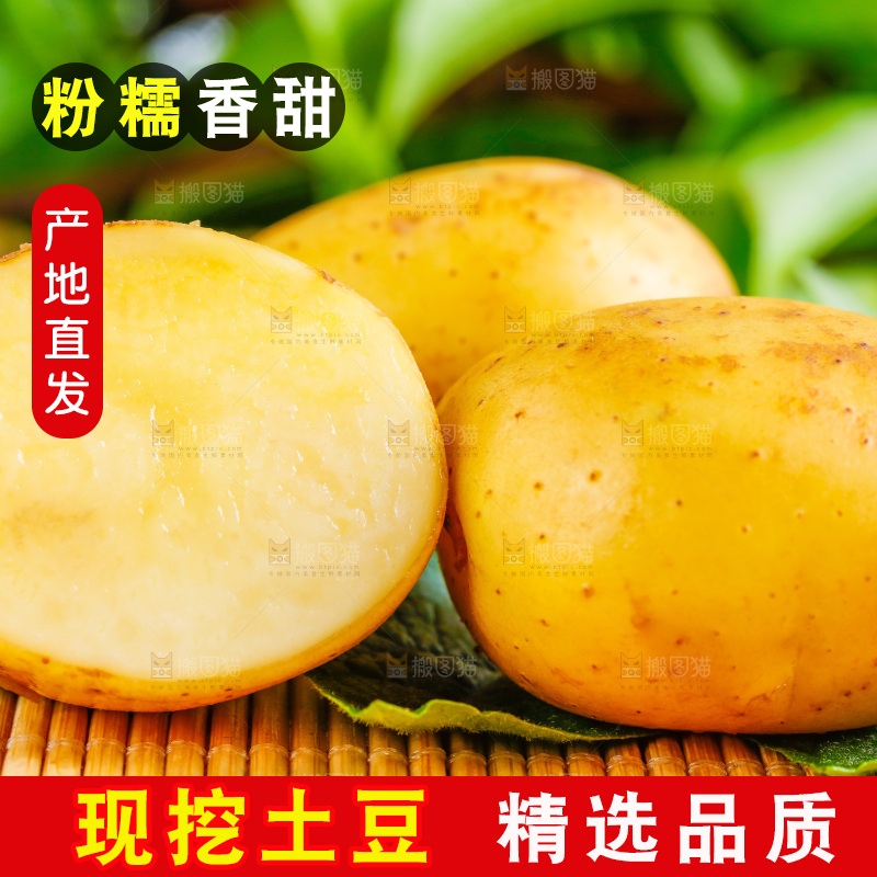 浅底上放着云南黄心土豆