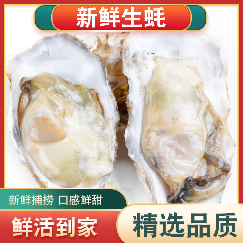 白底上的乳山生蚝