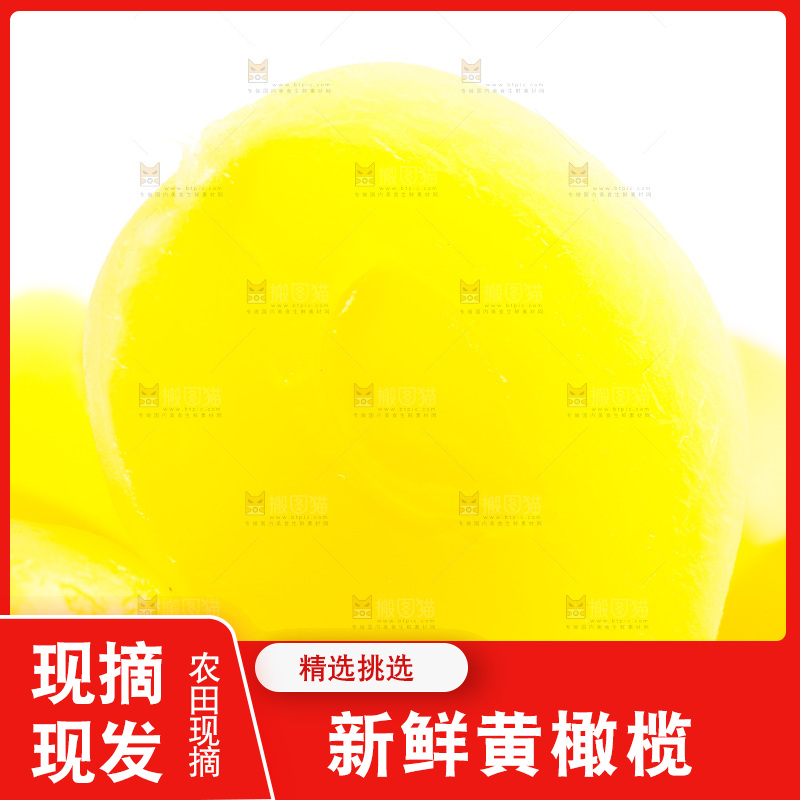 白底上的黄橄榄