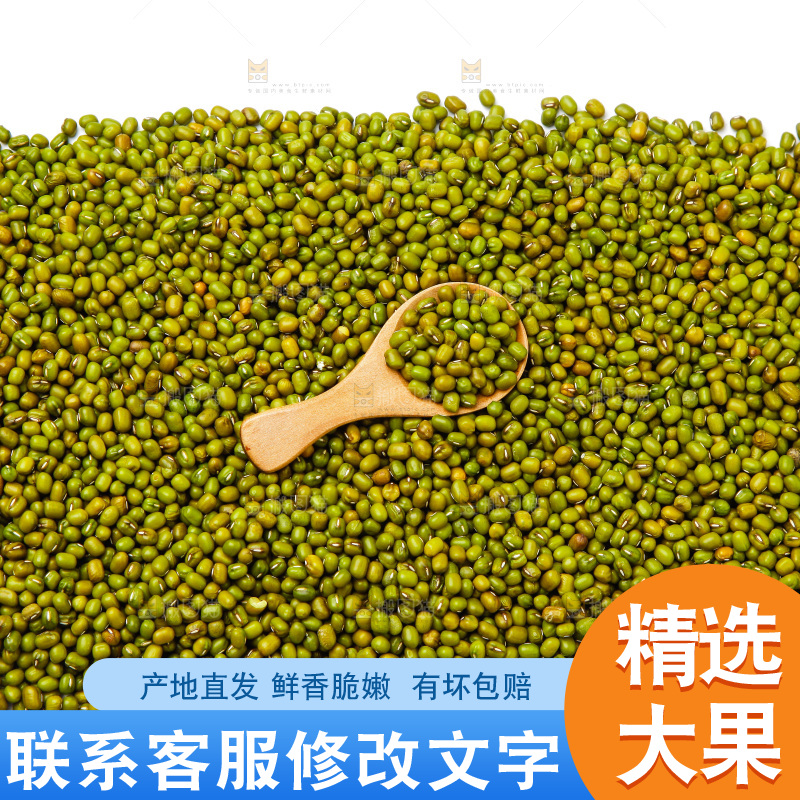 新鲜绿豆放在白底上